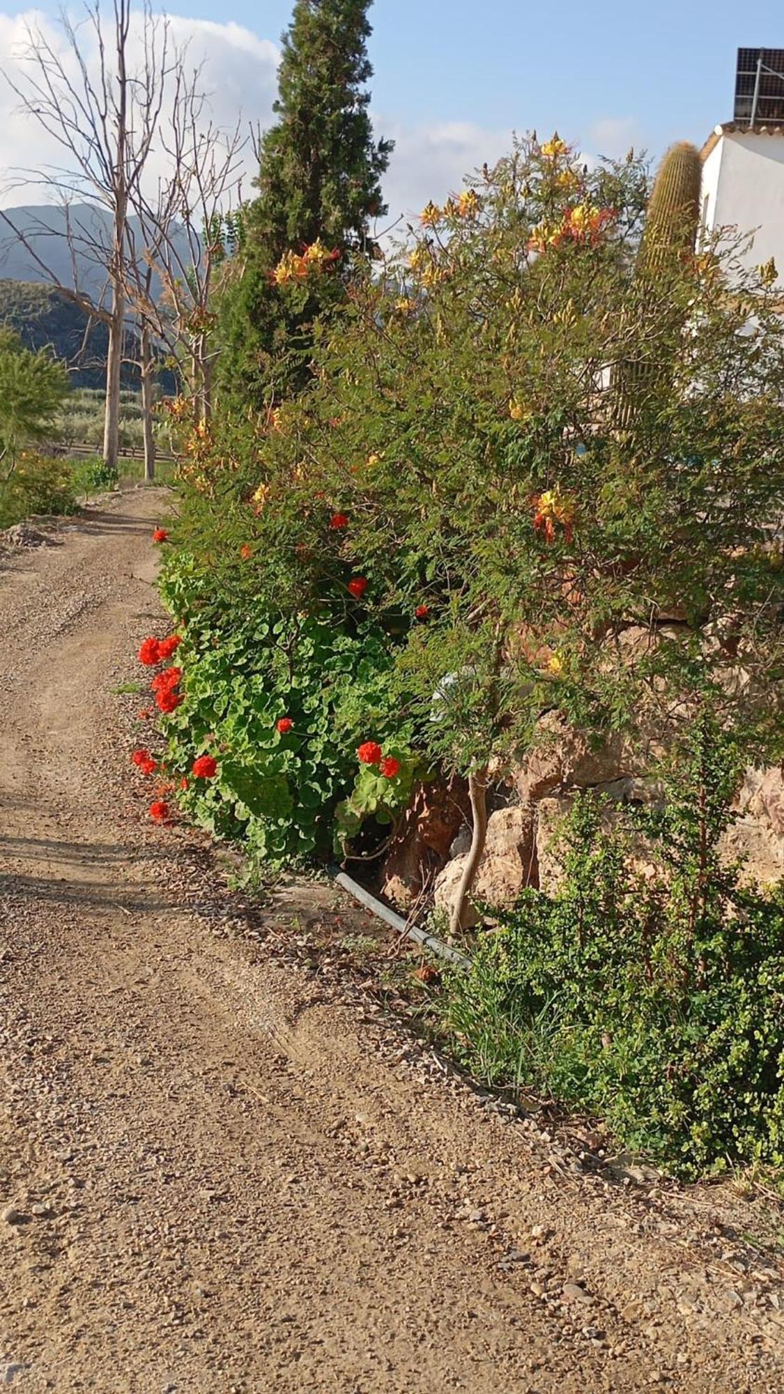 Country house Cortijo Rural Molino Con Piscina Y Zonas Compartidas *