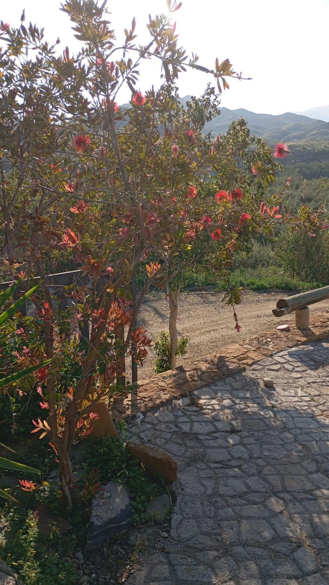 Country house Cortijo Rural Molino Con Piscina Y Zonas Compartidas El Tarahal