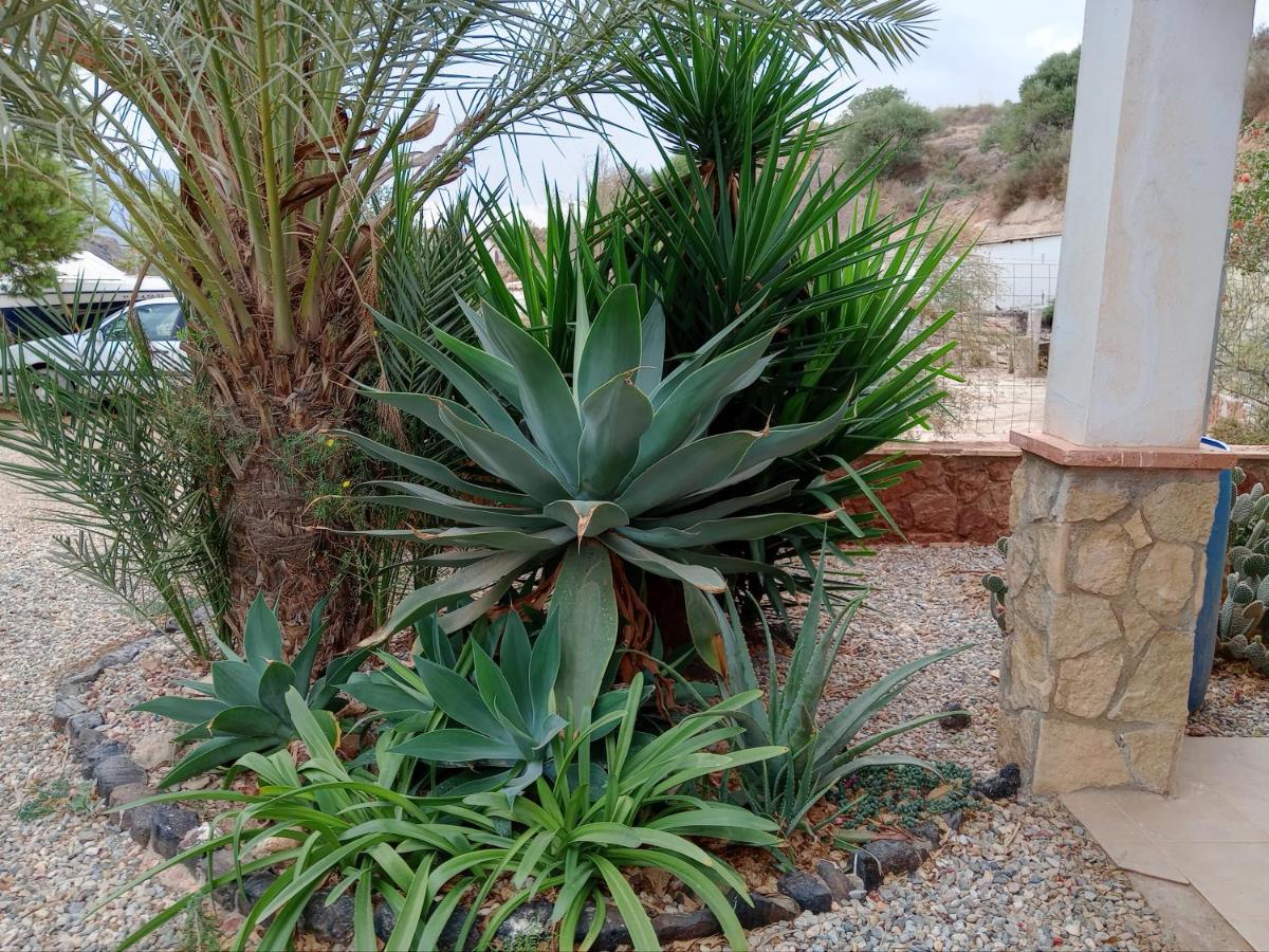 Cortijo Rural Molino Con Piscina Y Zonas Compartidas Casa di campagna El Tarahal